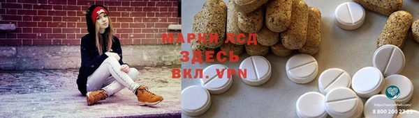 сатива Армянск