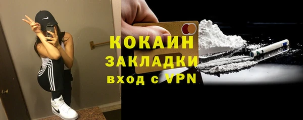сатива Армянск