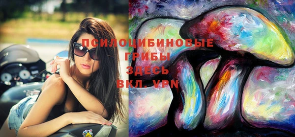 ГАЛЛЮЦИНОГЕННЫЕ ГРИБЫ Аркадак