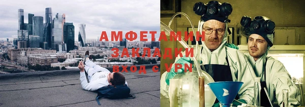 ГАЛЛЮЦИНОГЕННЫЕ ГРИБЫ Аркадак