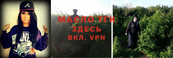 сатива Армянск